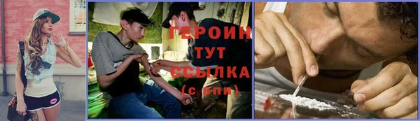 шишки Инта