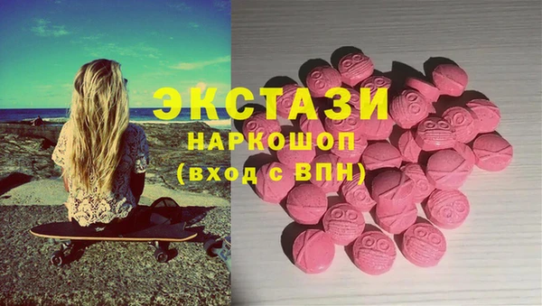 шишки Инта
