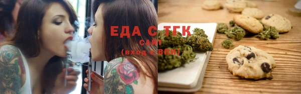 шишки Инта