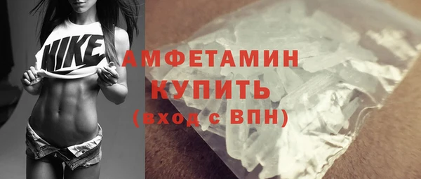 шишки Инта
