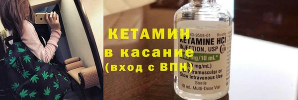 шишки Инта