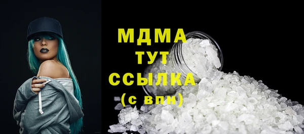 шишки Инта