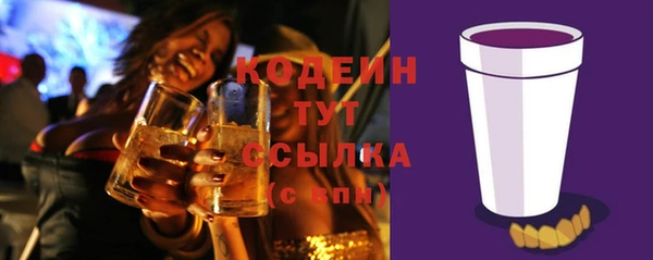 твердый Иннополис