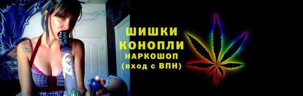 шишки Инта