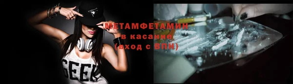 шишки Инта