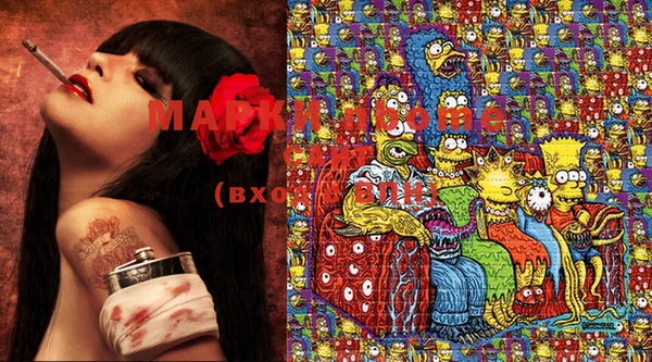 шишки Инта