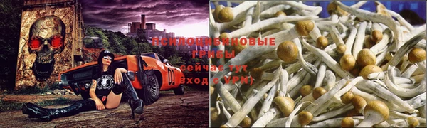 гашишное масло Инсар