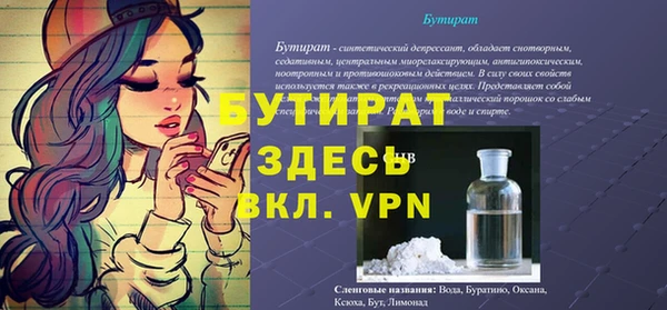 шишки Инта