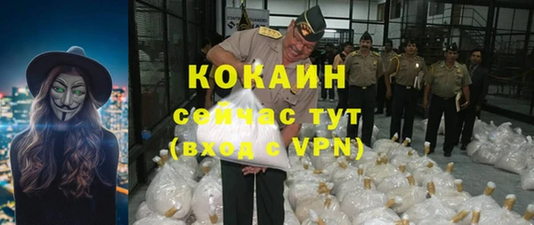 шишки Инта