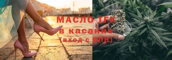 шишки Инта