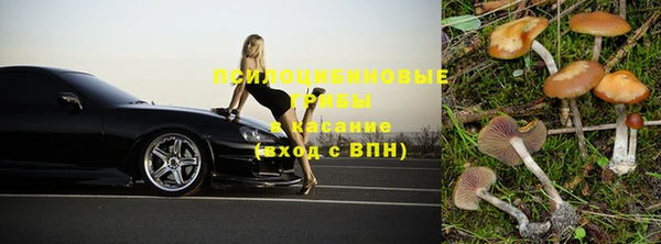 шишки Инта