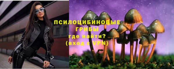 твердый Иннополис