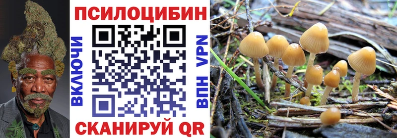 Купить закладки  Нижние Серги  Галлюциногенные грибы мухоморы 